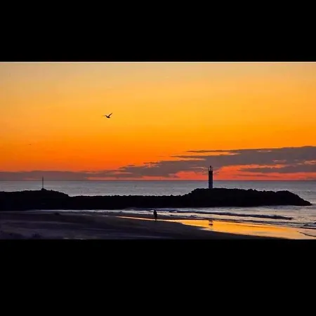 Au Cap D'agde Dans Les Pinedes