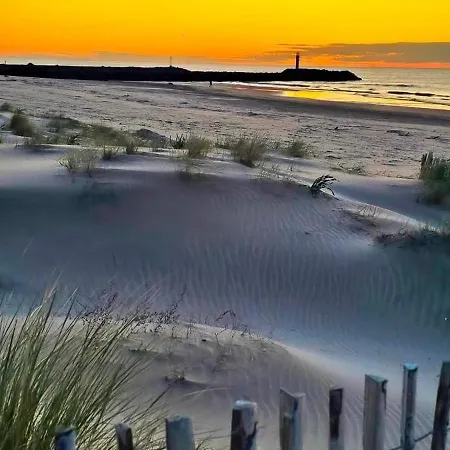 Au Cap D'agde Dans Les Pinedes